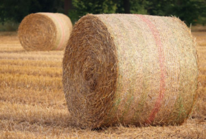 net replacement film advantages